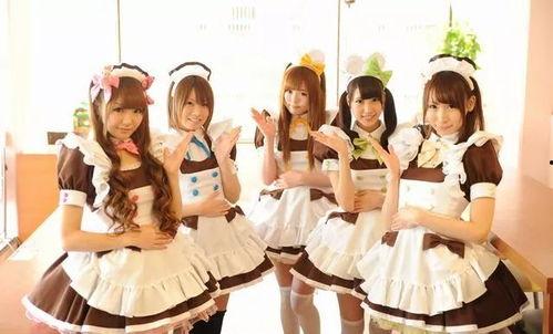 女仆咖啡全部爆料视频,揭秘幕后故事与精彩瞬间  第1张